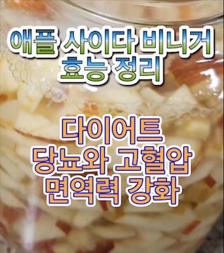 애플-사이다-비니거-효능-효과