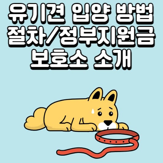 유기견 보호소
유기견 정보지원금
유기견 보호소
유기견 입양