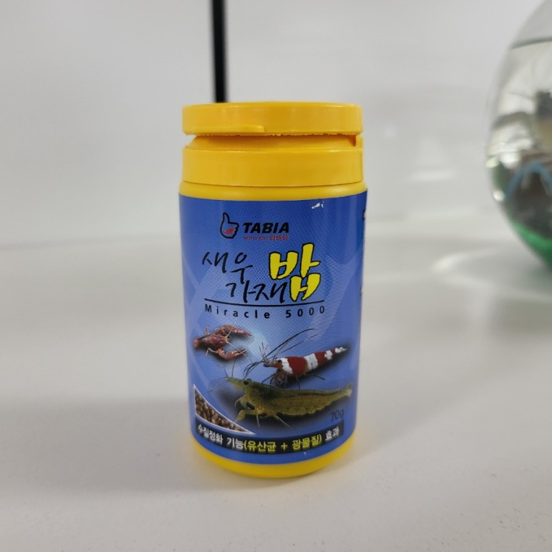 다이소화분 아이템으로 저렴한 가격에 생선, 청어 기르기(혼자 키운지 2개월 후) 3