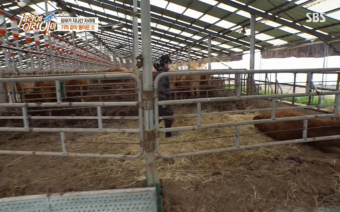 순간포착 세상에 이런일이.E1174.220406p-NEXT.mp4_20220406_174458.760.jpg