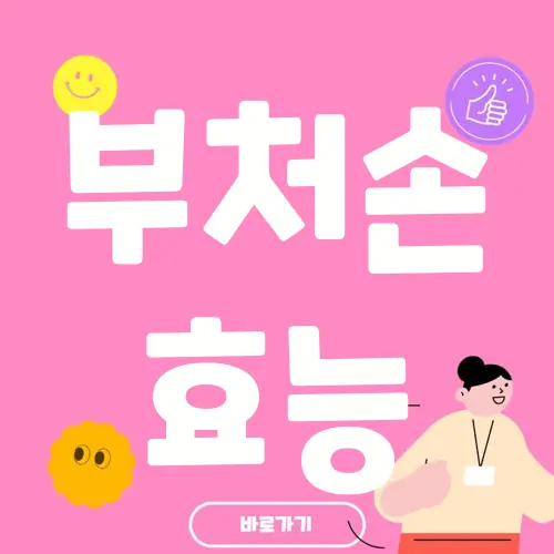 부처손 효능