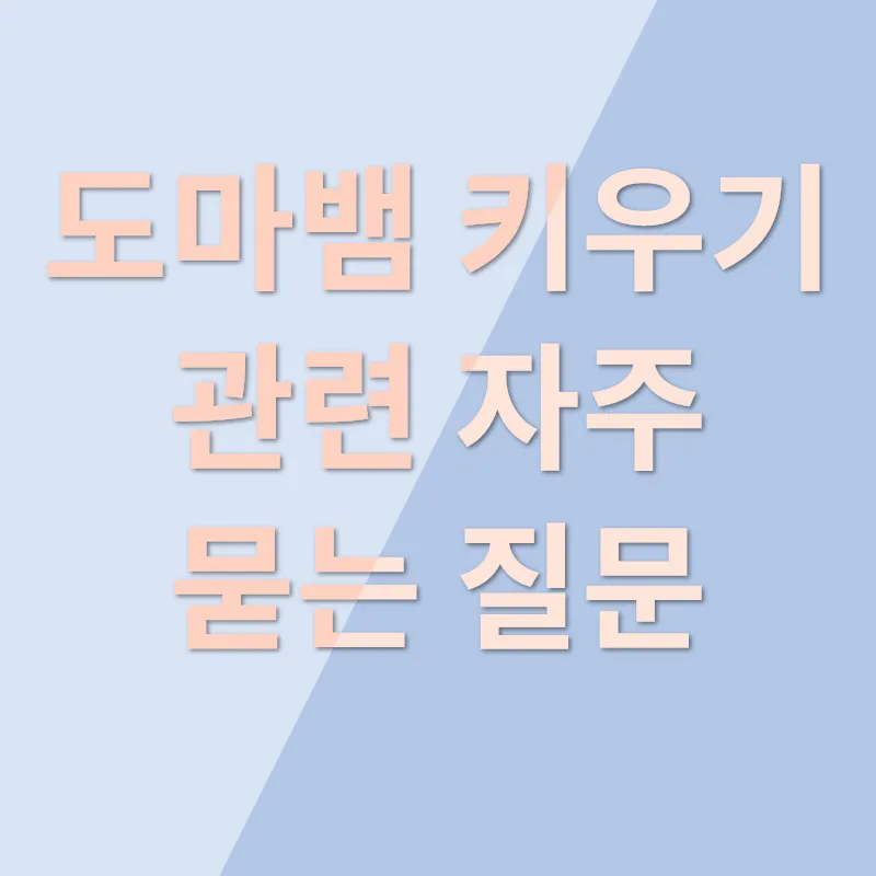 도마뱀 키우기_4