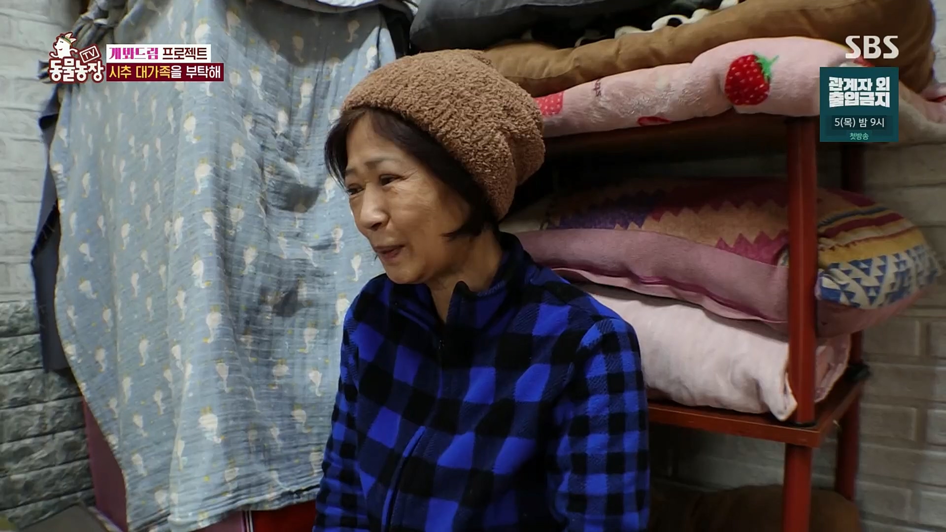 TV 동물농장.E1102.230101p.H264-F1RST.mp4_20230101_182845.476.jpg
