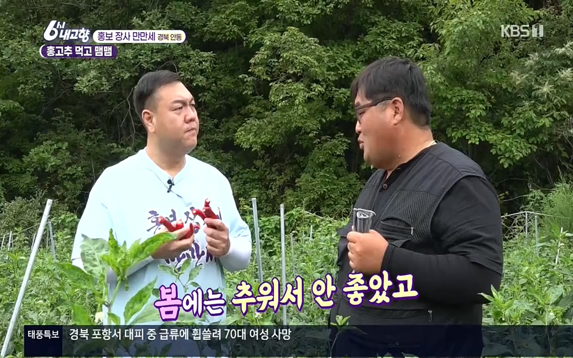 6시 내고향.E7611.220907p.H264-F1RST.mp4_20220908_204246.029.jpg