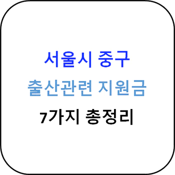  2024년 서울시 중구 출산지원금 7종 완벽 가이드