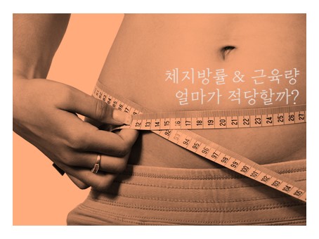  남자 여자 체지방률 & 근육량 평균 얼마가 적당할까?