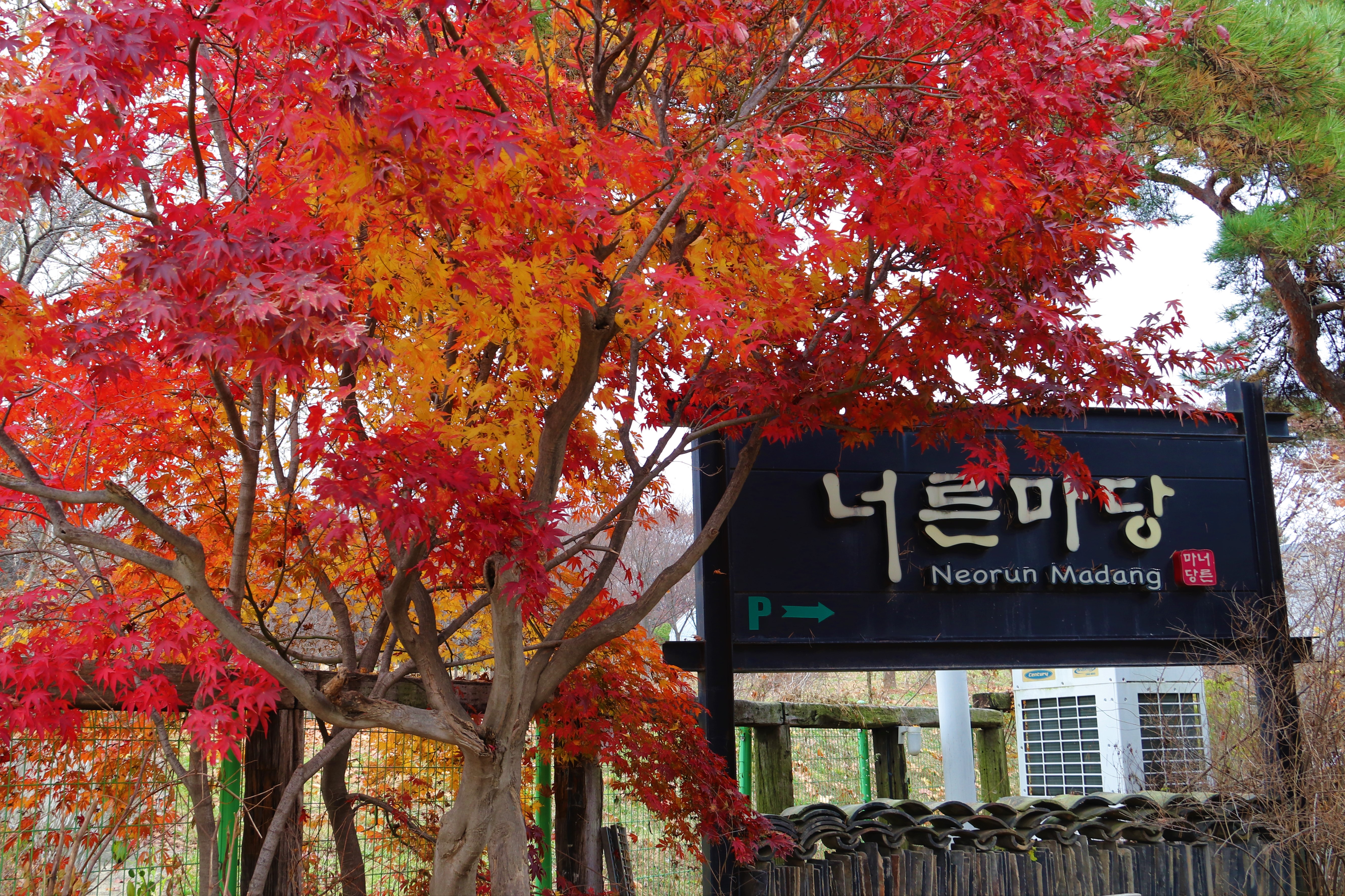 너른마당1 이미지