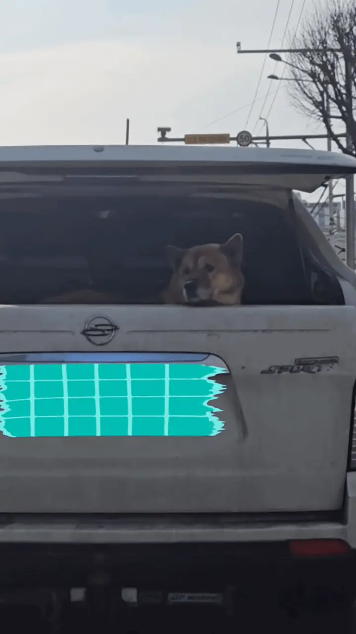 캡컷-스티커-트래킹