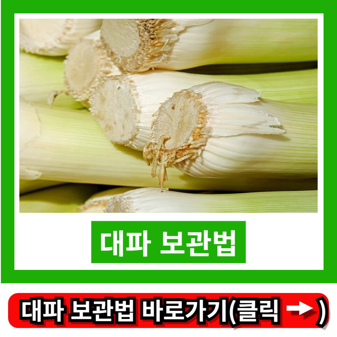 대파 보관법