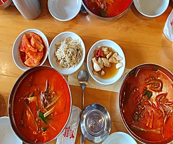 독기-넘치는-강철-멘탈-명언