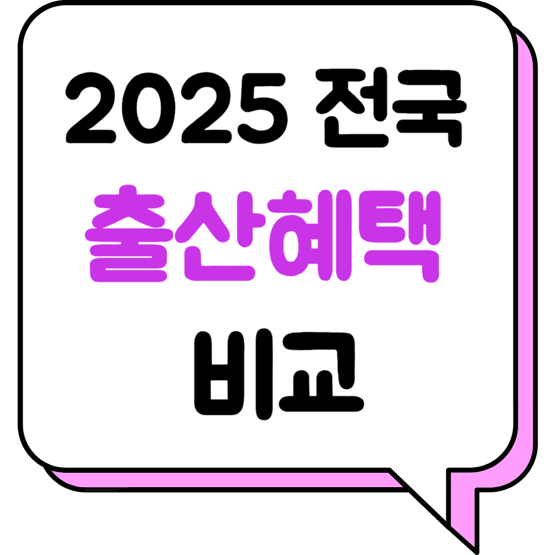 2025년 전국 출산혜택 비교