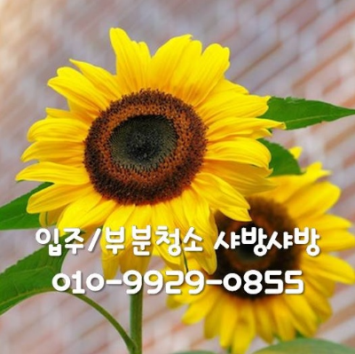  홍천 입주청소 비용 및 입주청소 체크리스트