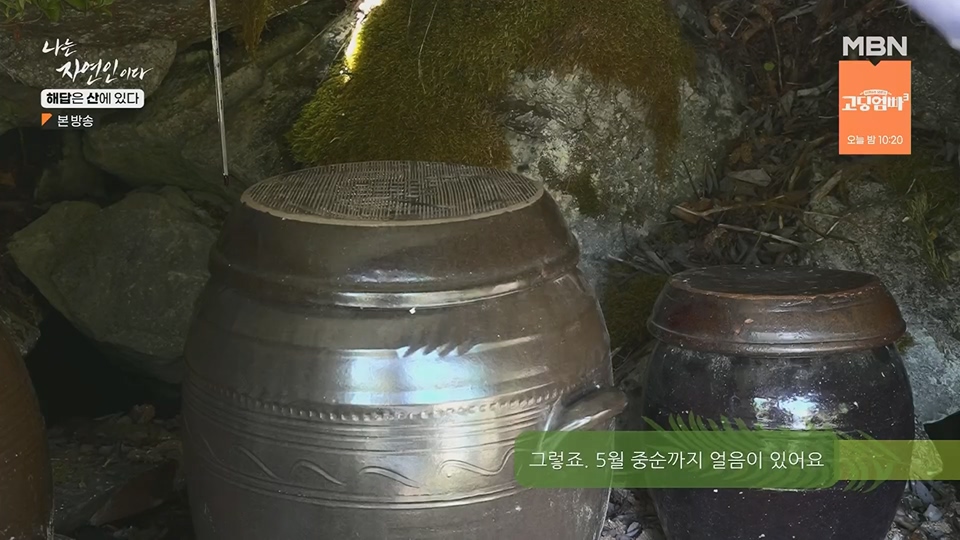 나는 자연인이다.E559.230621p.H264-F1RST.mp4_20230622_204017.847.jpg