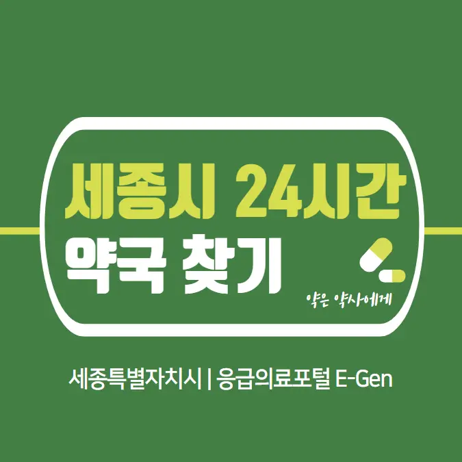  세종시 24시간 당번약국 | 심야간 휴일 주말 일요일 당직약국 27곳