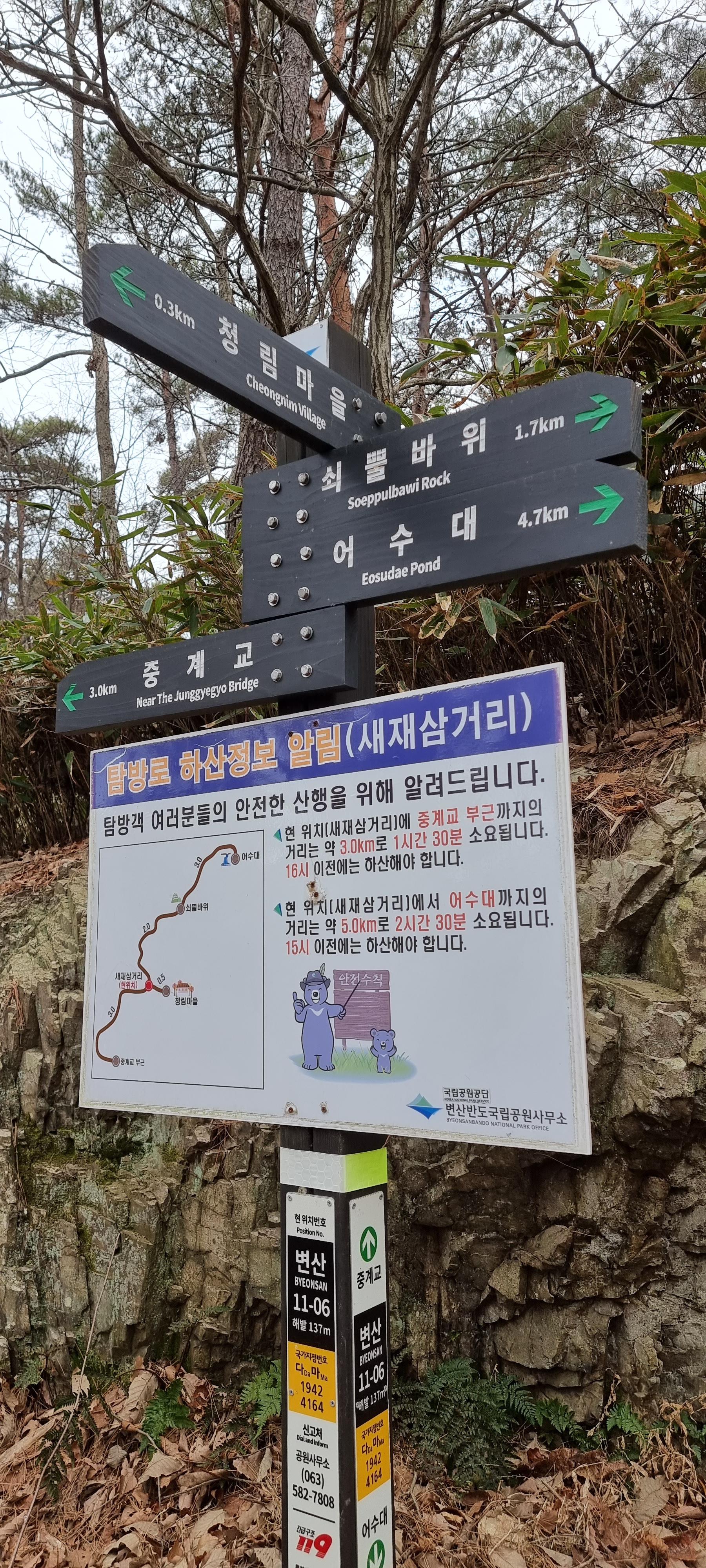 변산바람꽃 9