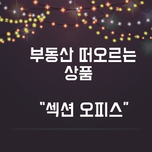  새로운 수익형 부동산 "섹션오피스" 그 이유는?