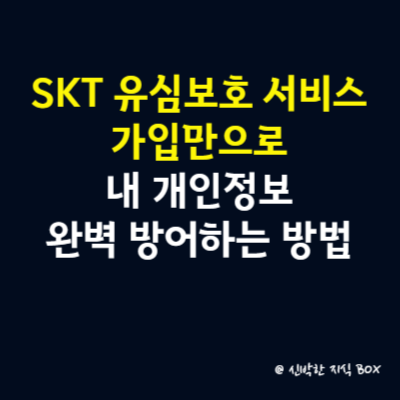 SKT 유심보호 서비스, 가입만으로 내 개인정보 완벽 방어하는 방법