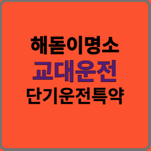 해돋이 명소 방문 시 교대운전보험