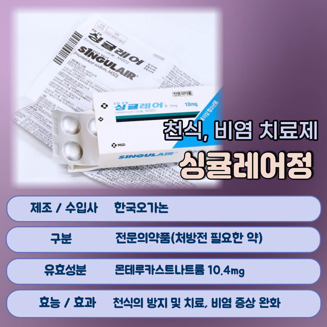 싱귤레어정이란