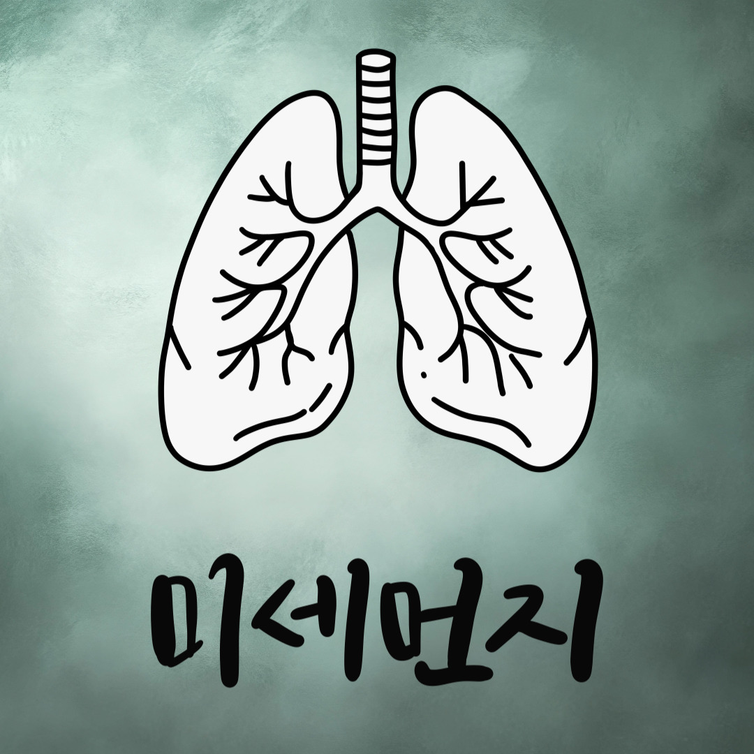 기관지염 관련 그림