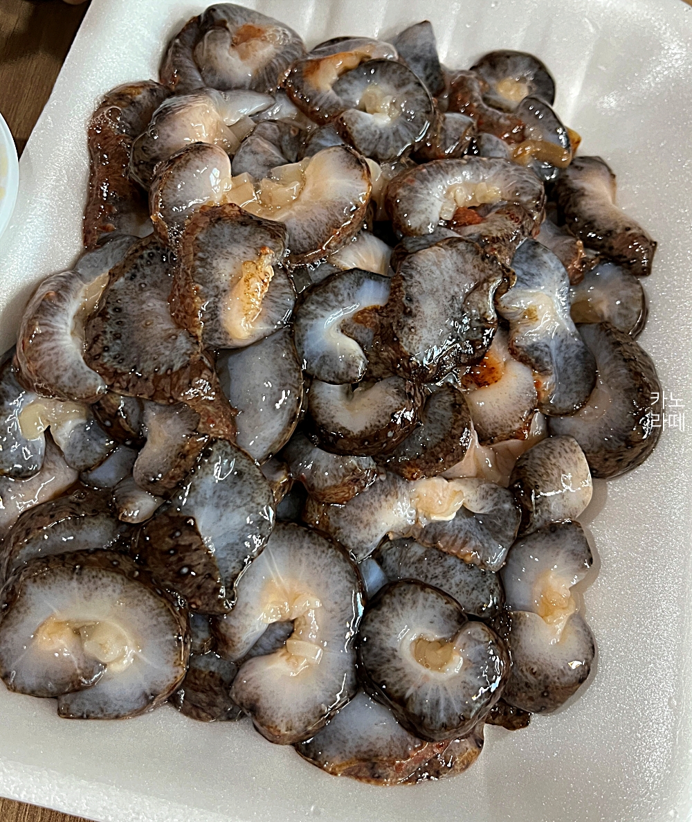 용낙지 이미지