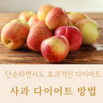  단순하면서도 효과적인 다이어트, 사과 다이어트 방법