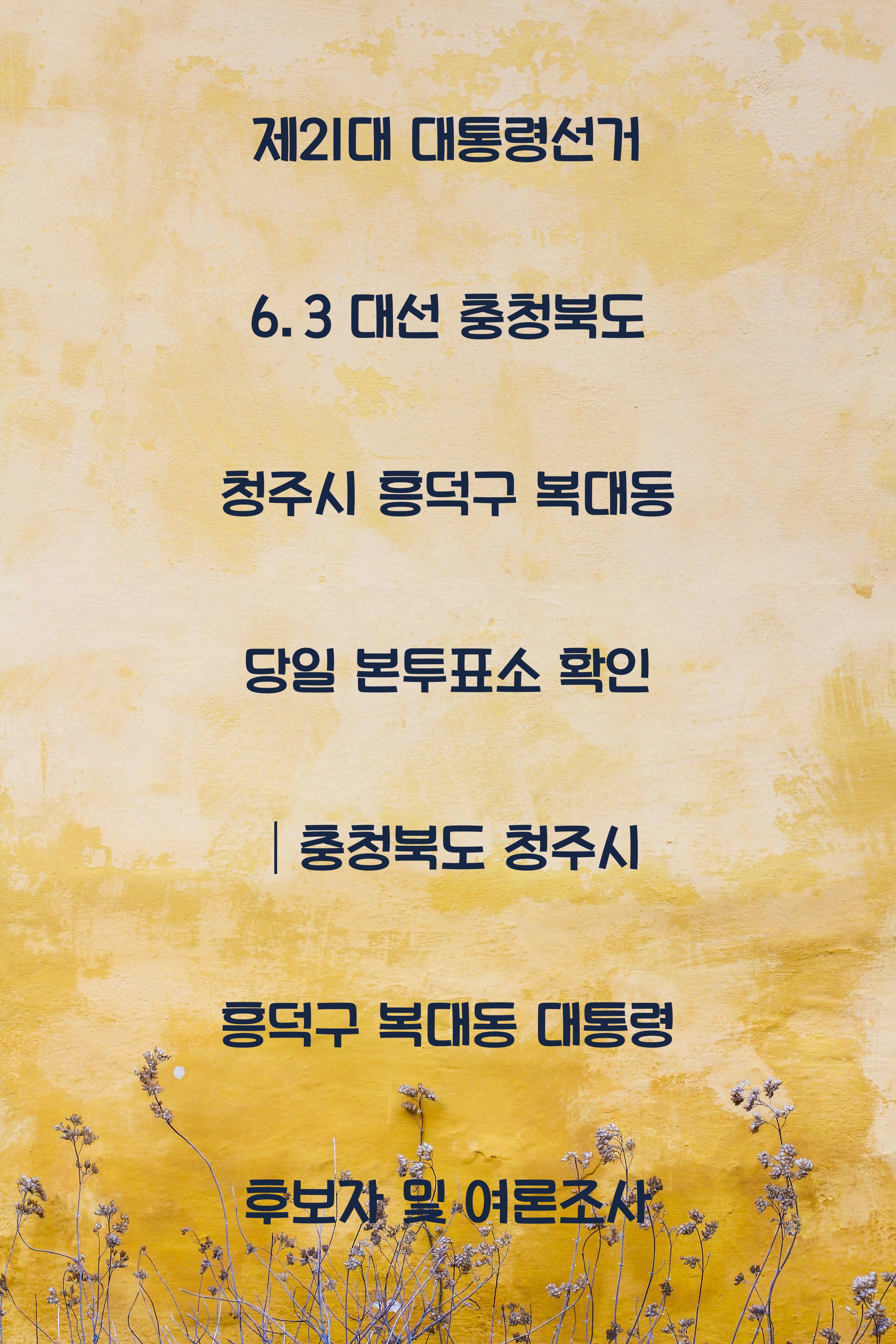 제21대 대통령선거 6.3 대선 충청북도 청주시 흥덕구 복대동 당일 본투표소 안내 │충청북도 청주시 흥덕구 복대동 대통령 후보자 및 여론조사 확인