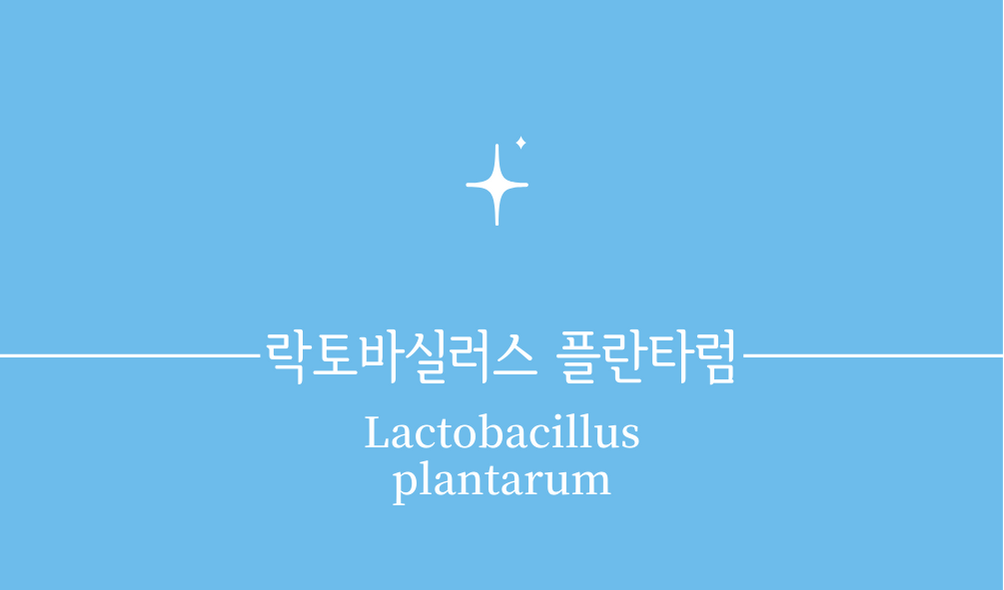 &#39;락토바실러스 플란타럼(Lactobacillus plantarum)&#39;