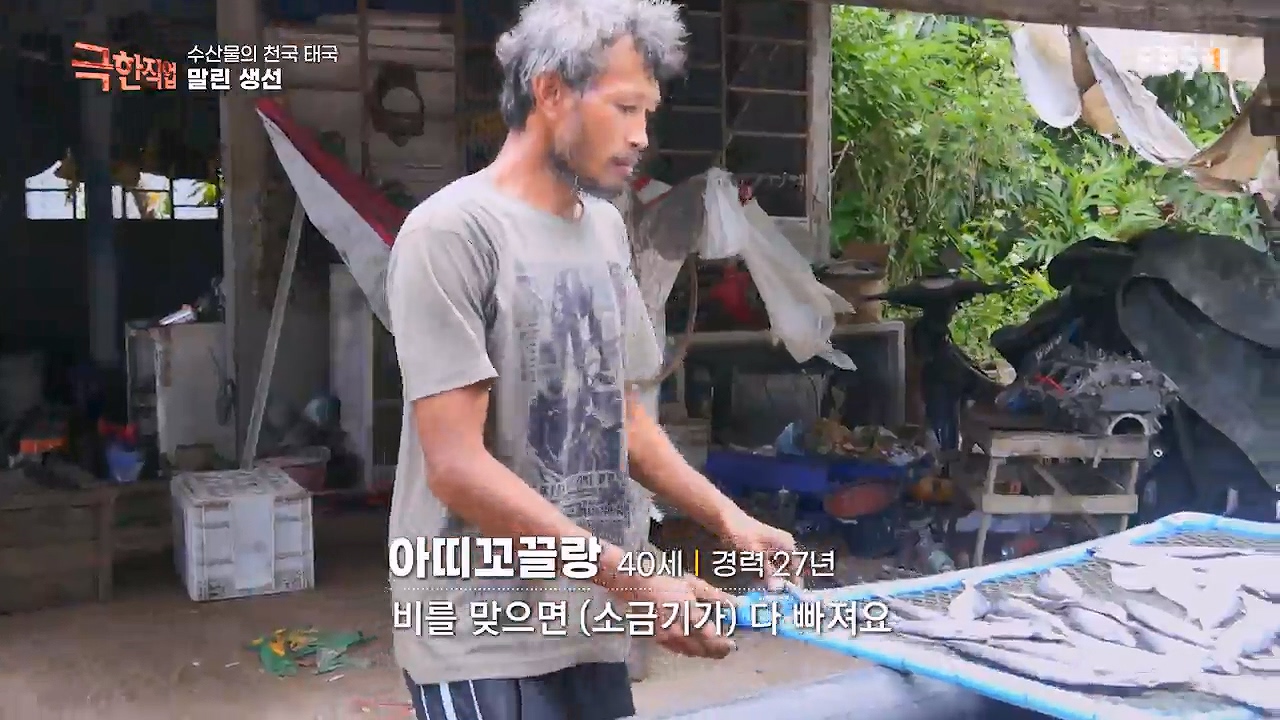 TV - 전 국민의 평생학교 EBS수산물의 천국 태국, 새우 양식과 말린 생선.mp4_20240604_201418.056.jpg