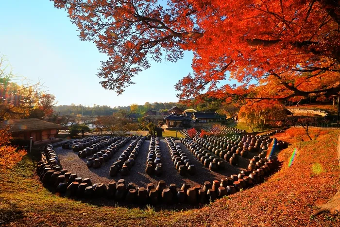충남 논산의 명재고택의 장독대.