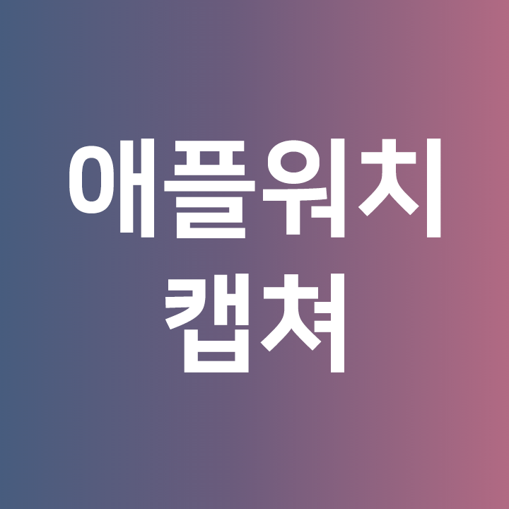  애플워치 캡쳐 하는법  애플워치 화면캡쳐
