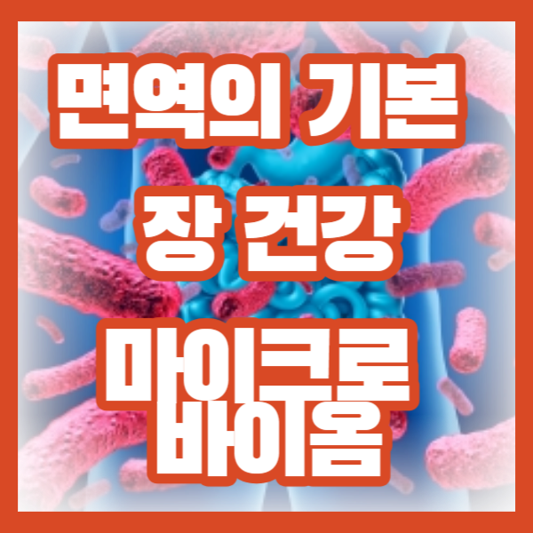 면역의 기본 장 건강, 장 관리, 마이크로 바이옴