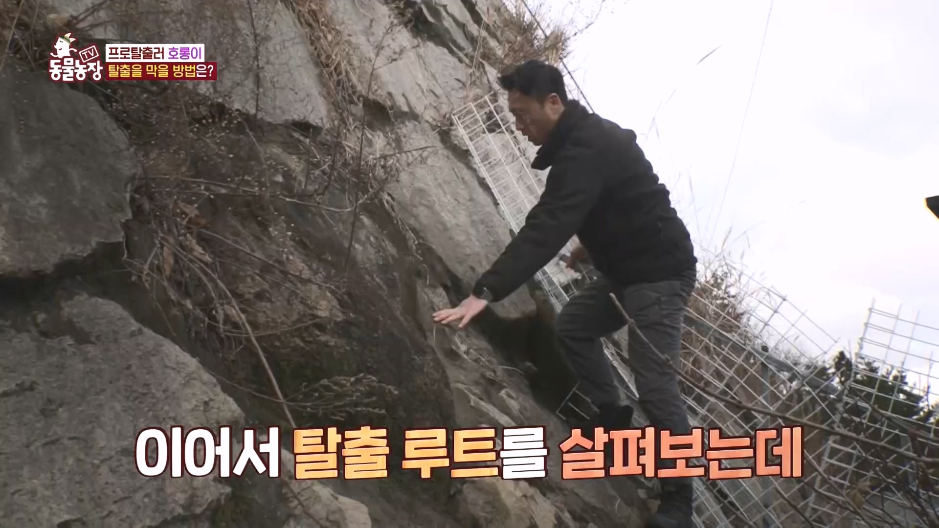 TV 동물농장.E1160.240225p.H264-F1RST.mp4_20240225_165134.495.jpg