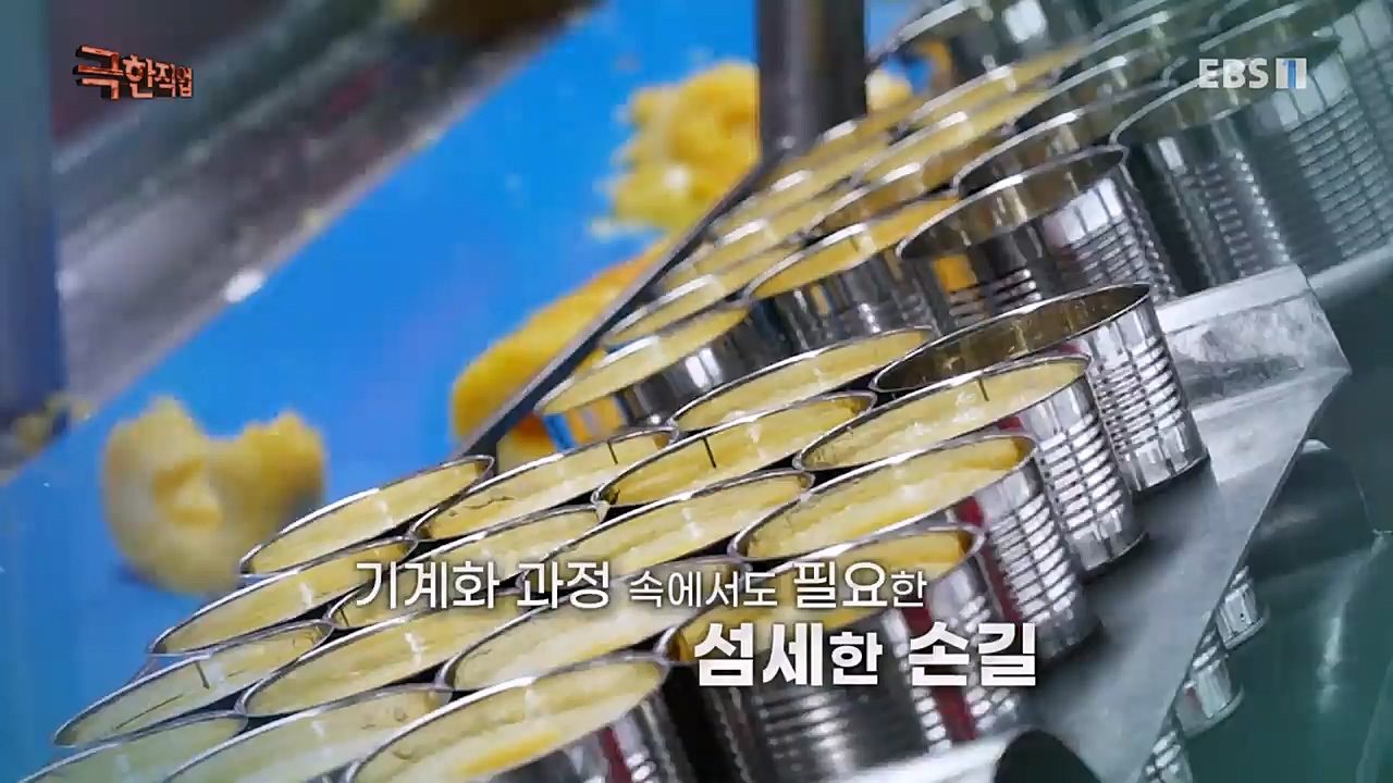 TV - 교육의 중심 EBS필리핀 바나나, 파인애플 농장.mp4_20230302_202854.961.jpg