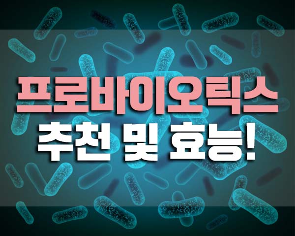  프로바이오틱스 유산균추천 및 효능 프리바이오틱스와 차이점