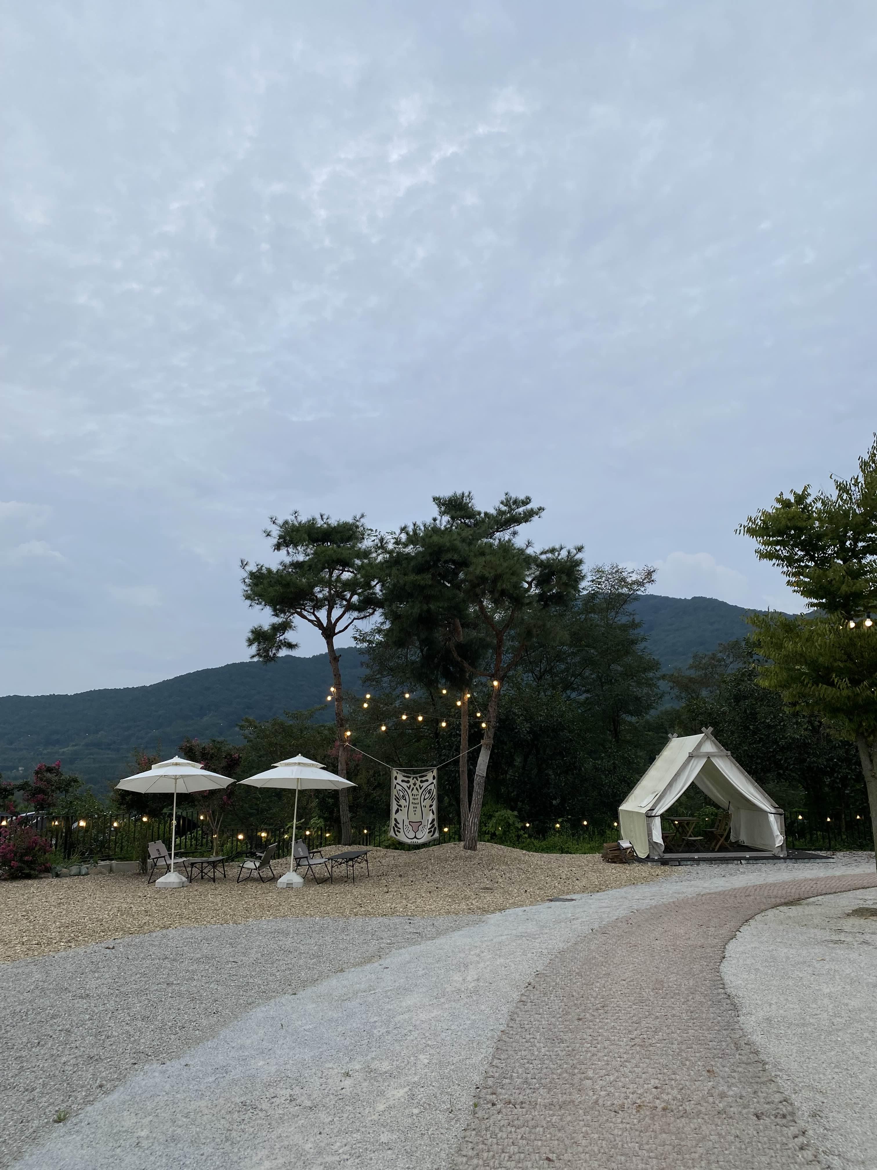 alt 태그