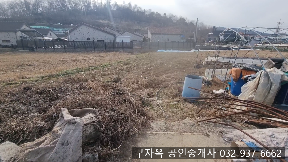 강화중학교 이미지