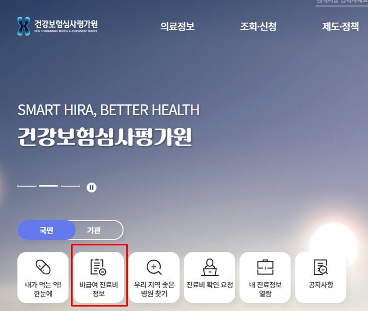 건강보험심사평가원 비급여 진료비 정보