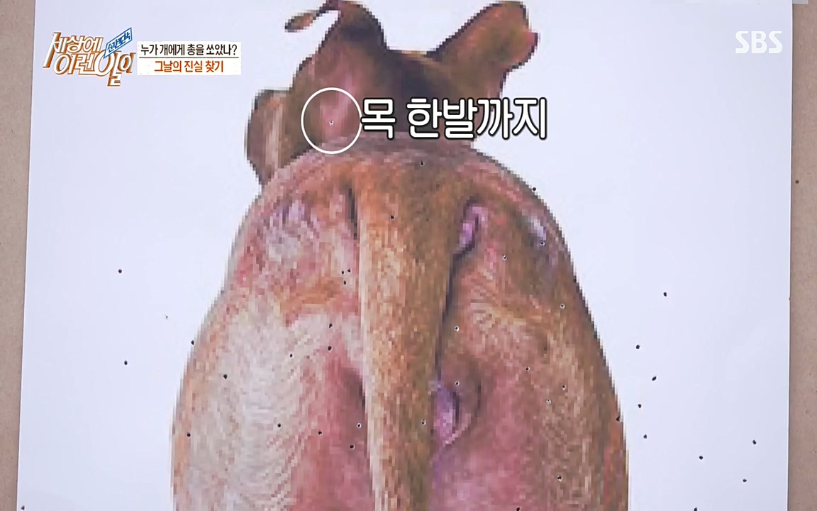 순간포착 세상에 이런일이.E1187.220706p-NEXT.mp4_20220706_202633.661.jpg