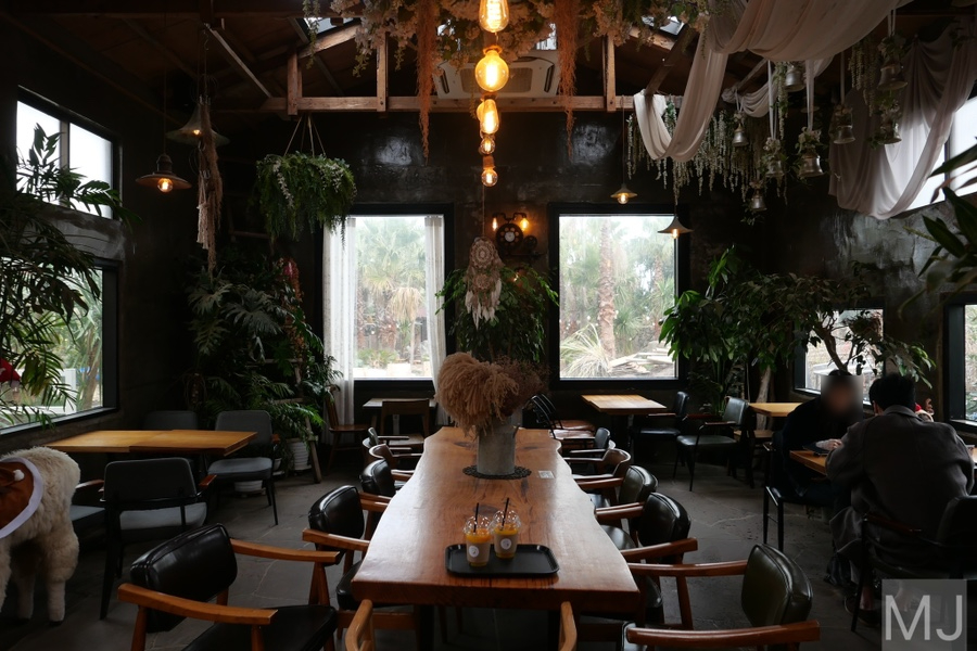 어린왕자 체험 in 감귤밭 카페 7