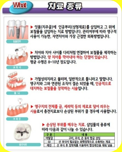 치료-종류
