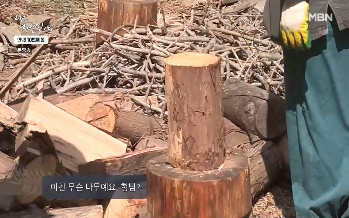 나는 자연인이다.E500.220505p-NEXT.mp4_20220505_180221.586.jpg