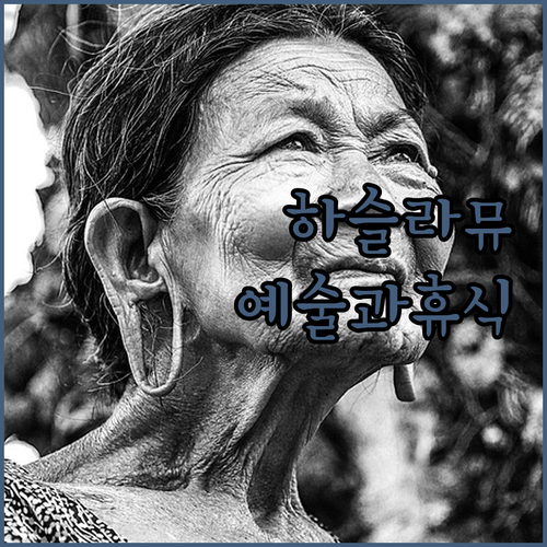 강릉 하슬라뮤지엄호텔, 예술과 휴식을