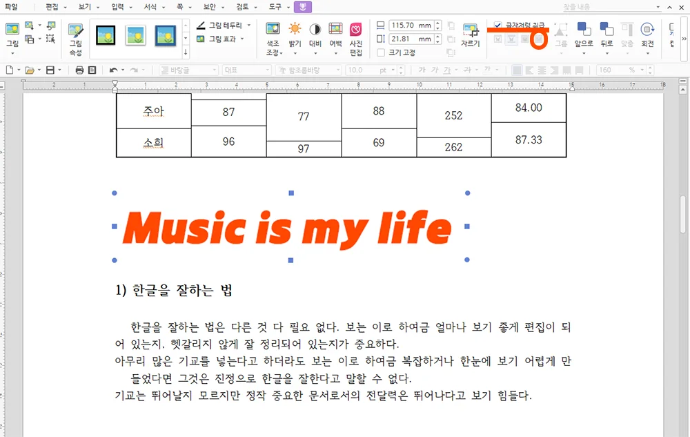 한글에서 그림을 삽입한 후 정렬 옵션의 모습