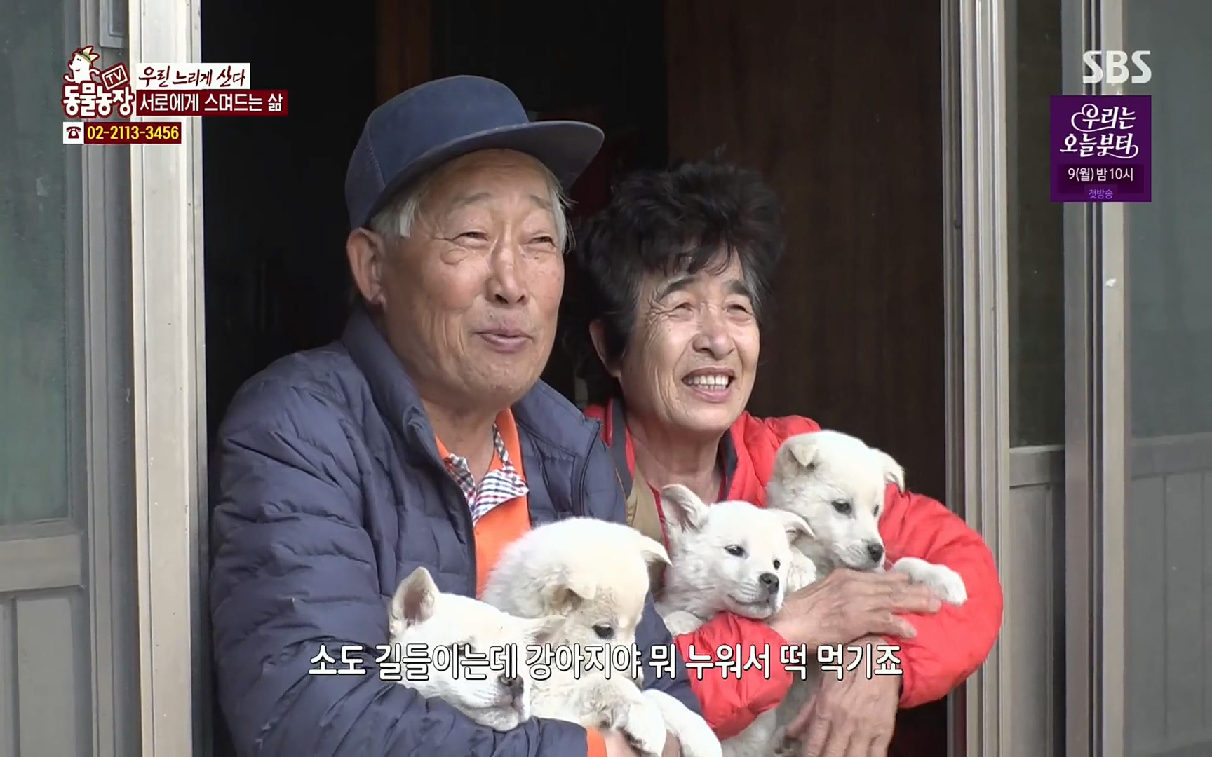 TV 동물농장.E1067.220501p.H264-F1RST.mp4_20220501_184815.406.jpg