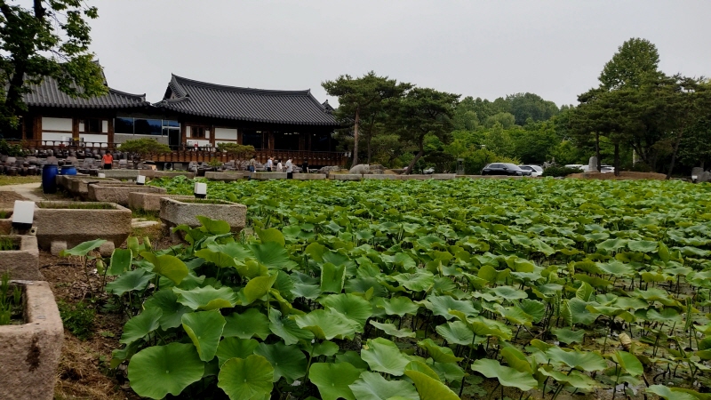 너른마당