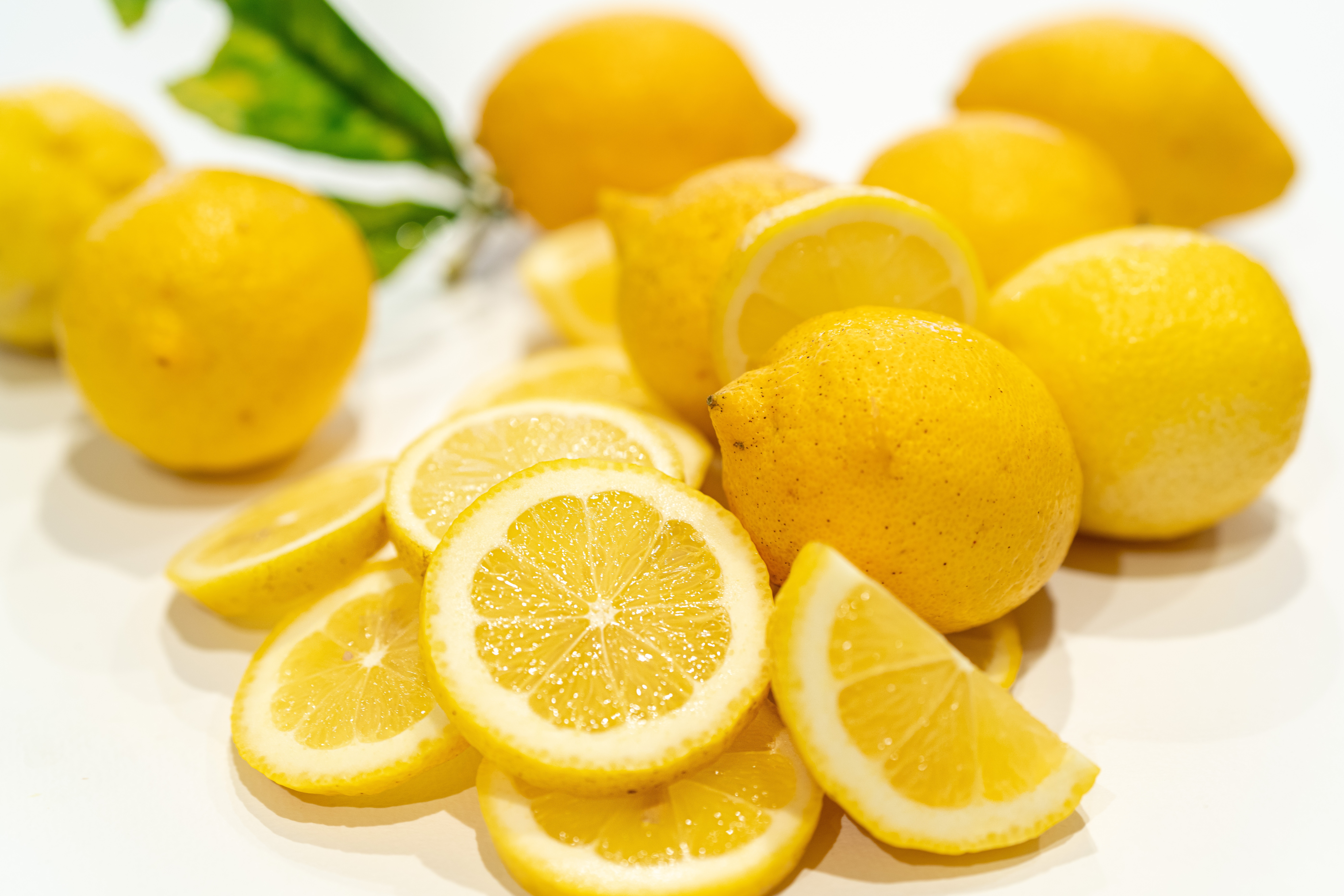 레몬 밤 효능 10가지 및 부작용