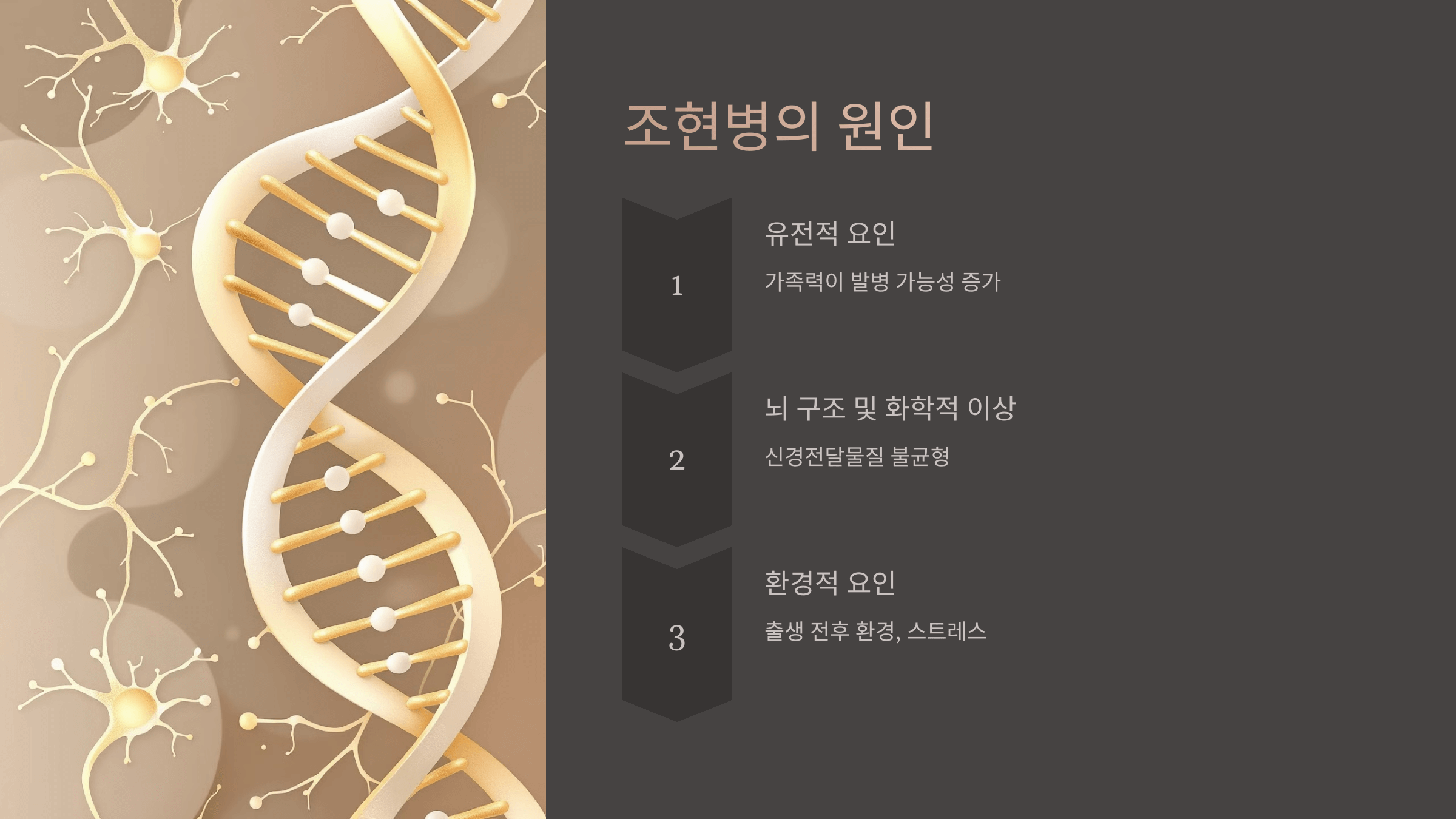 조현병과 관련된 사진입니다.