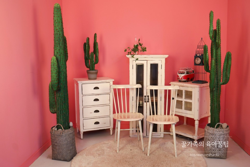 경북 축제 경북 아이와가볼만한곳 청도 42