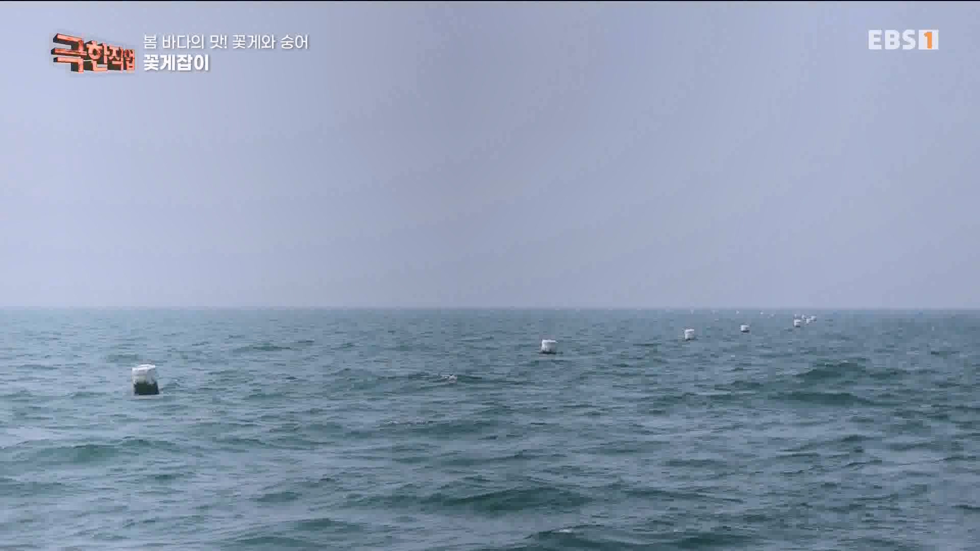 극한 직업 꽃게와 숭어 1080p.mp4_20230530_194643.790.jpg